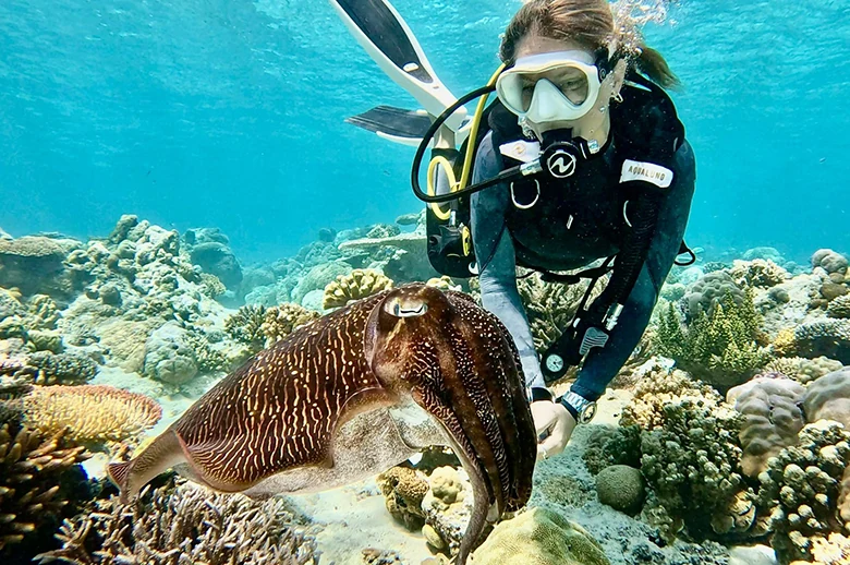 Vida marina en Apo Reef