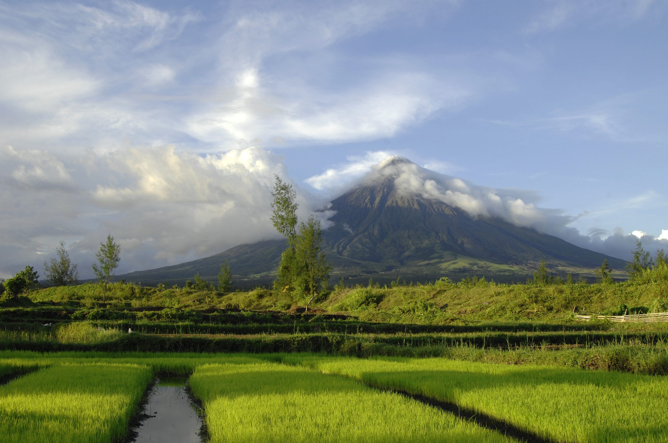 Volcán Mayón y arrozales en Filipinas